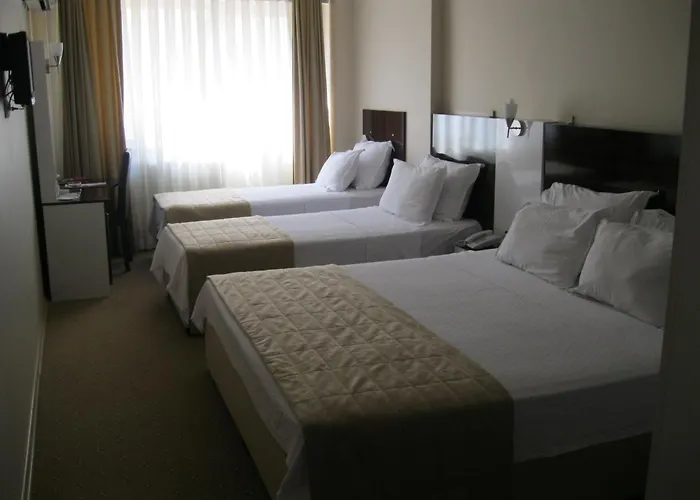 Hotel Anya 3*